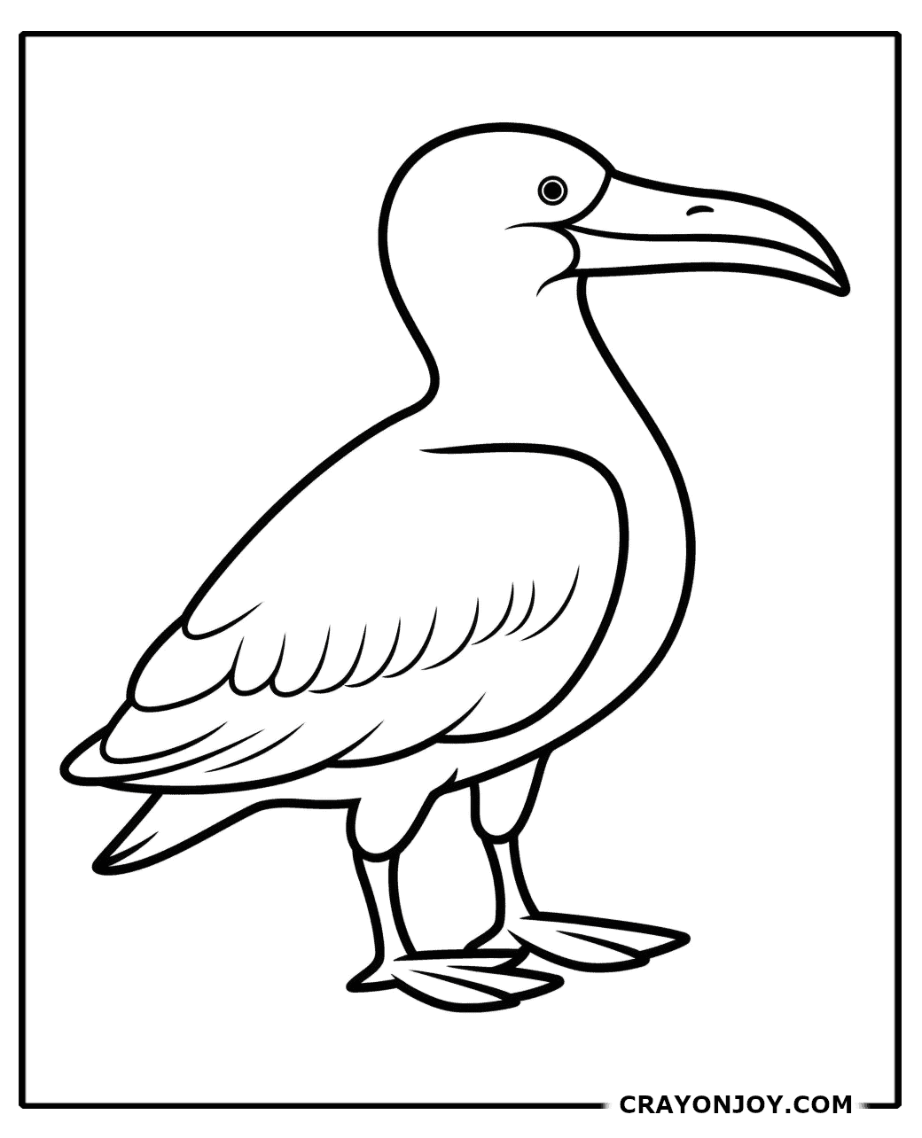 Albatross Coloring Pages: Free Printable Sheets for Kids and Adults