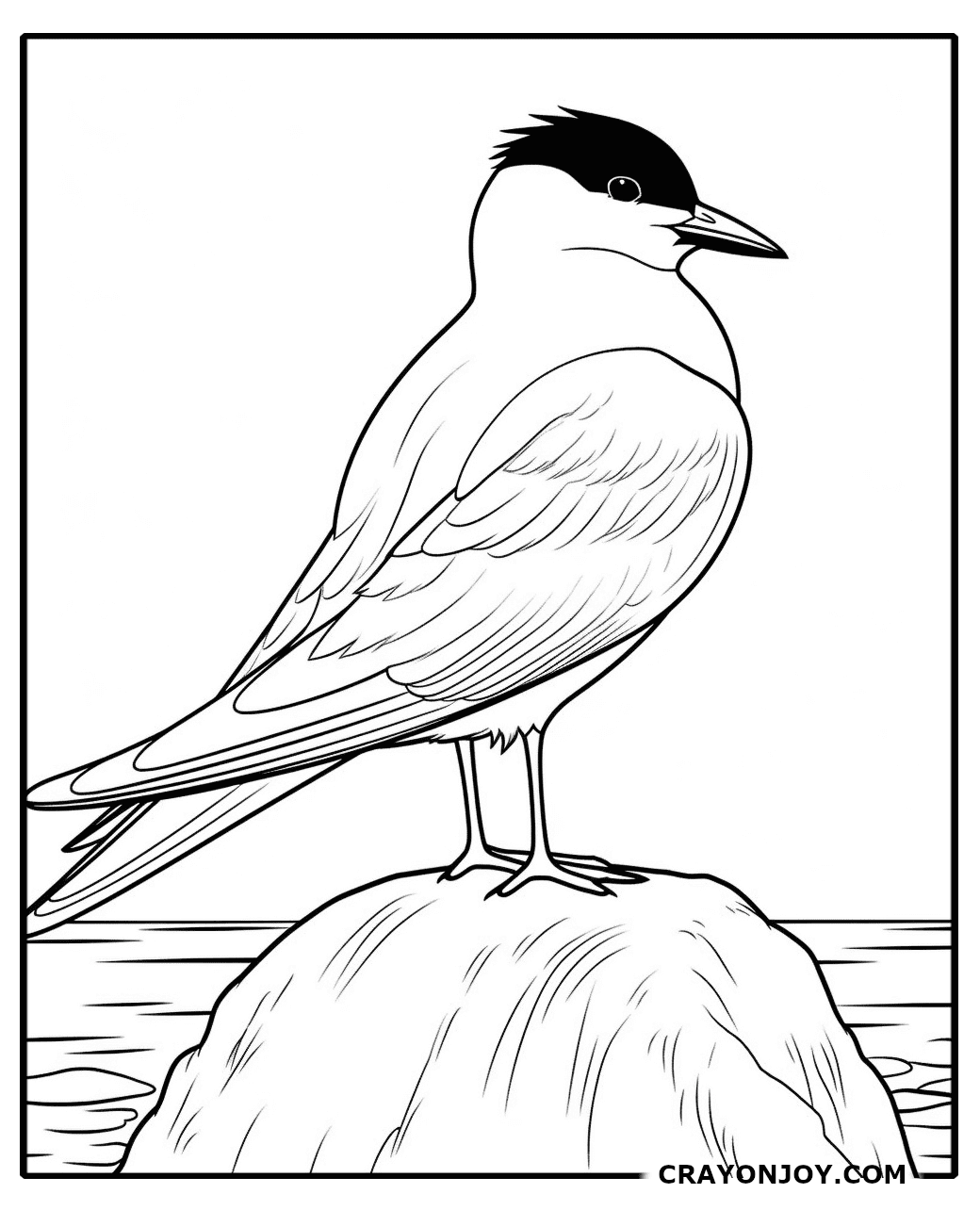 Arctic-Tern Coloring Pages: Free Printable Sheets for Kids
