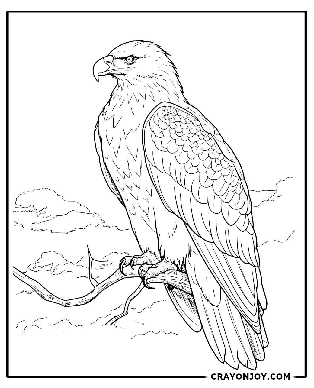 Bald Eagle Coloring Pages: Free Printable Sheets for Kids and Adults