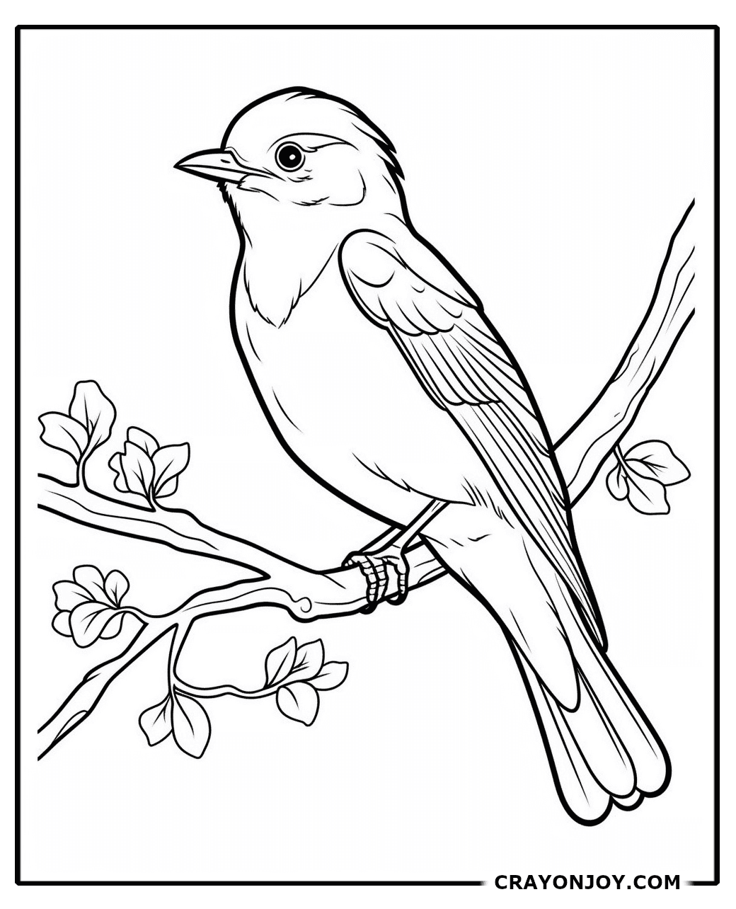 Bluebird Coloring Pages: Fun and Free Printable Sheets for Kids