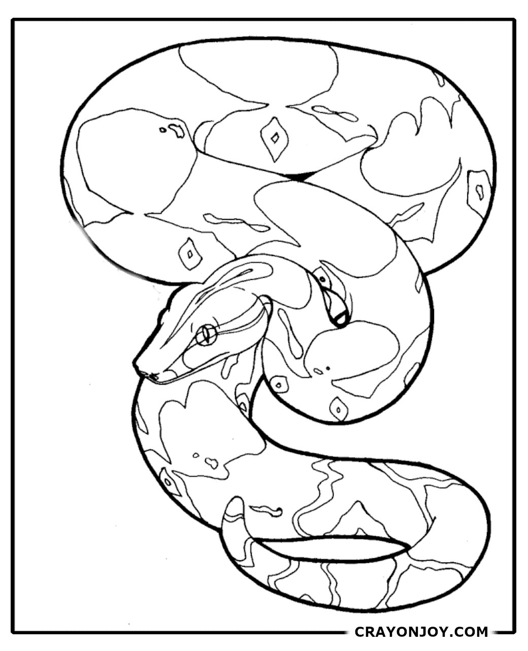 Free Printable Boa Constrictor Coloring Pages