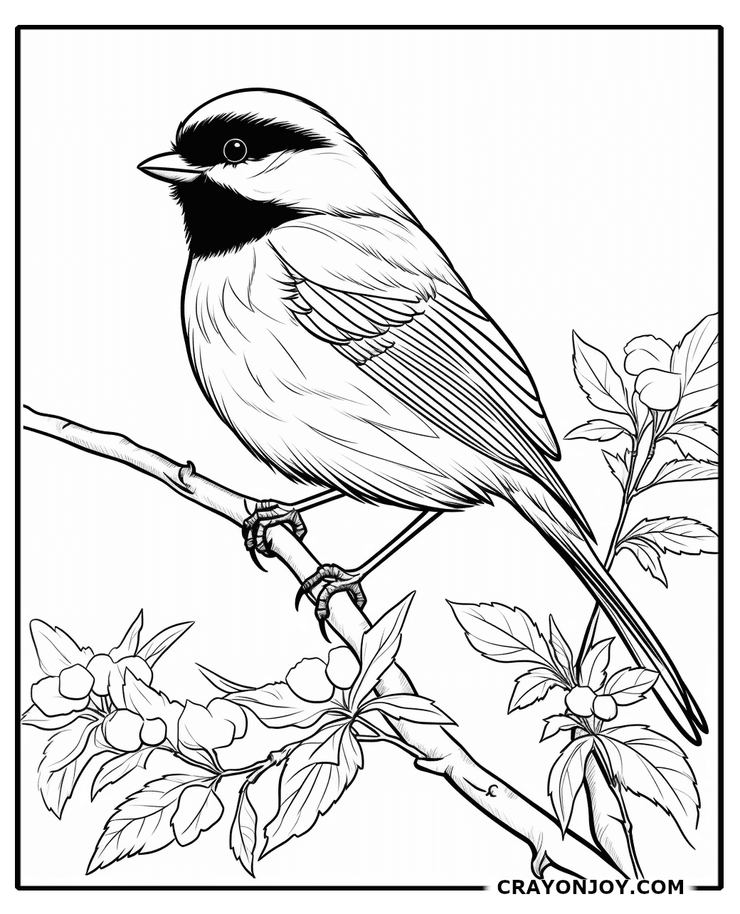 Free Printable Chickadee Coloring Pages for Kids & Adults