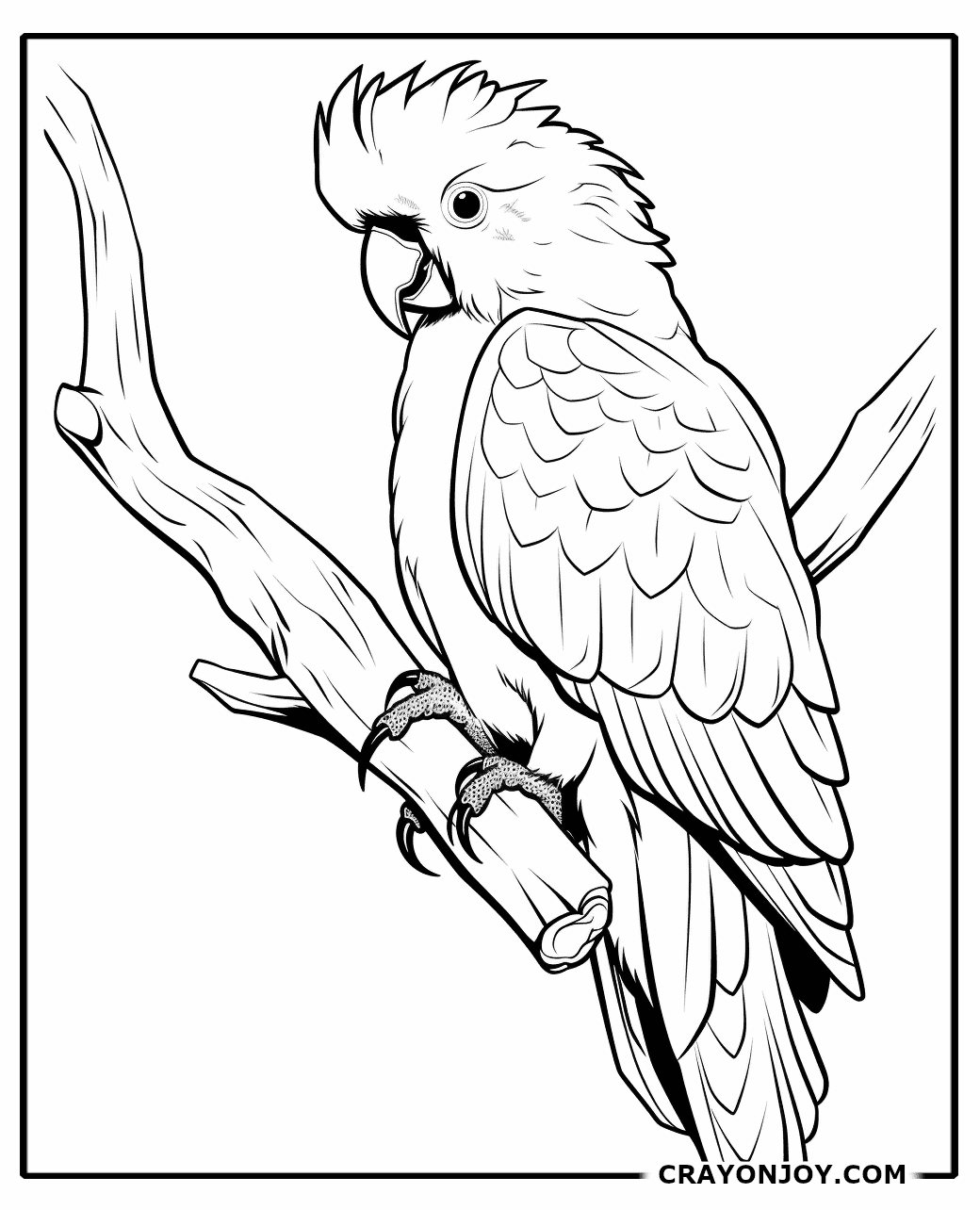 Free Printable Cockatoo Coloring Pages for Kids & Adults