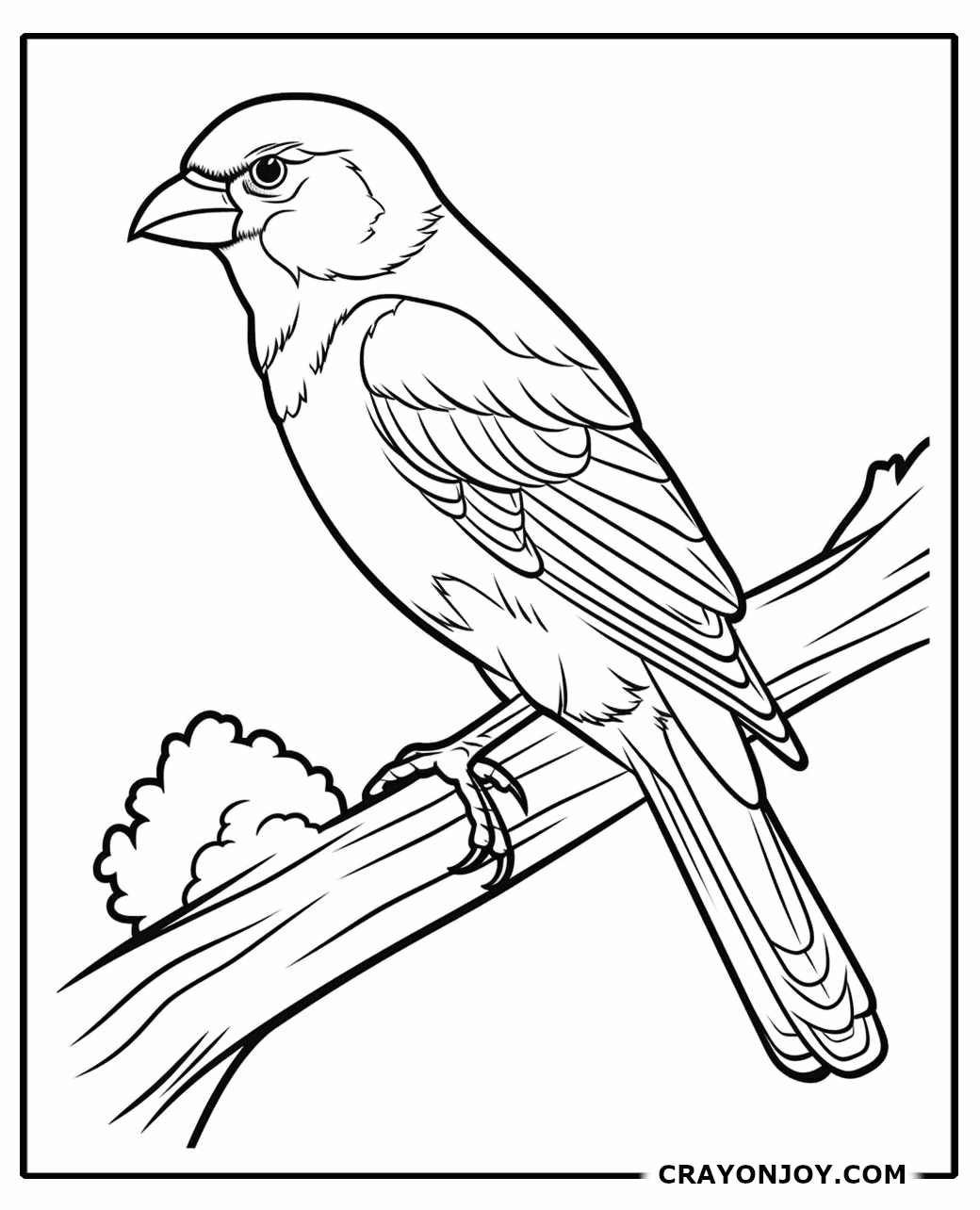 Crossbill Coloring Pages: Free Printable Sheets for Kids and Adults
