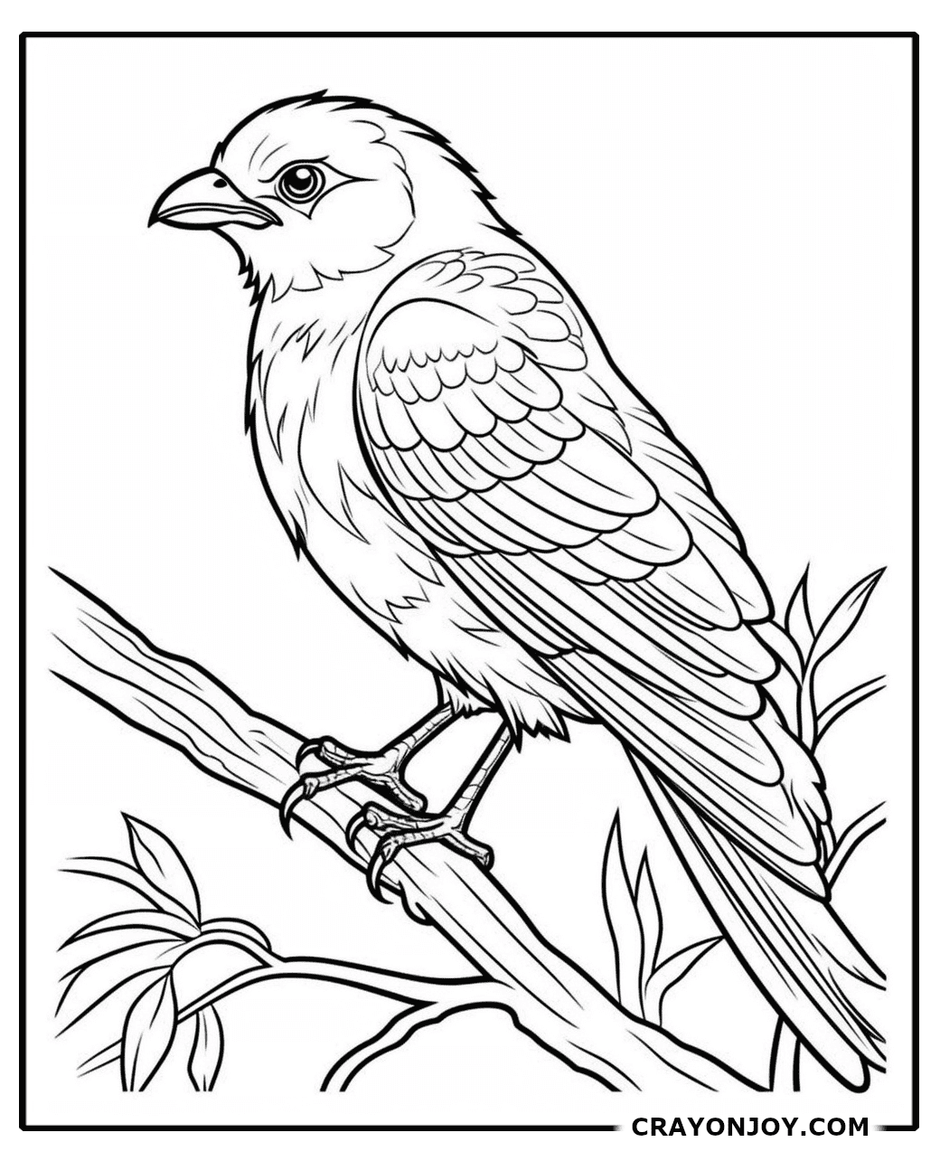 Free Printable Cuckoo Coloring Pages for Kids & Adults