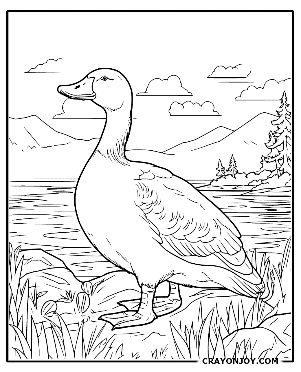 Free Printable Duck Coloring Pages for Kids & Adults