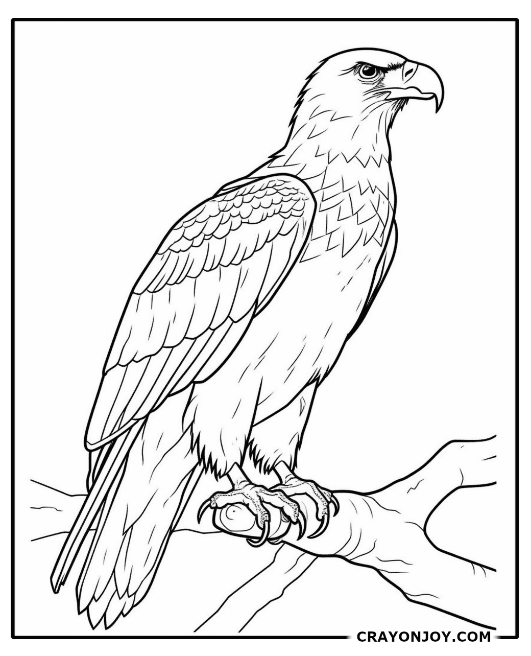 Free Printable Eagle Coloring Pages for Kids & Adults
