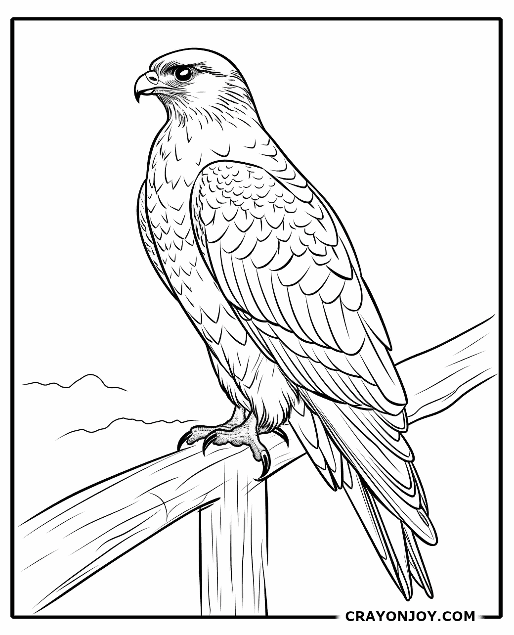 Free Printable Falcon Coloring Pages for Kids & Adults
