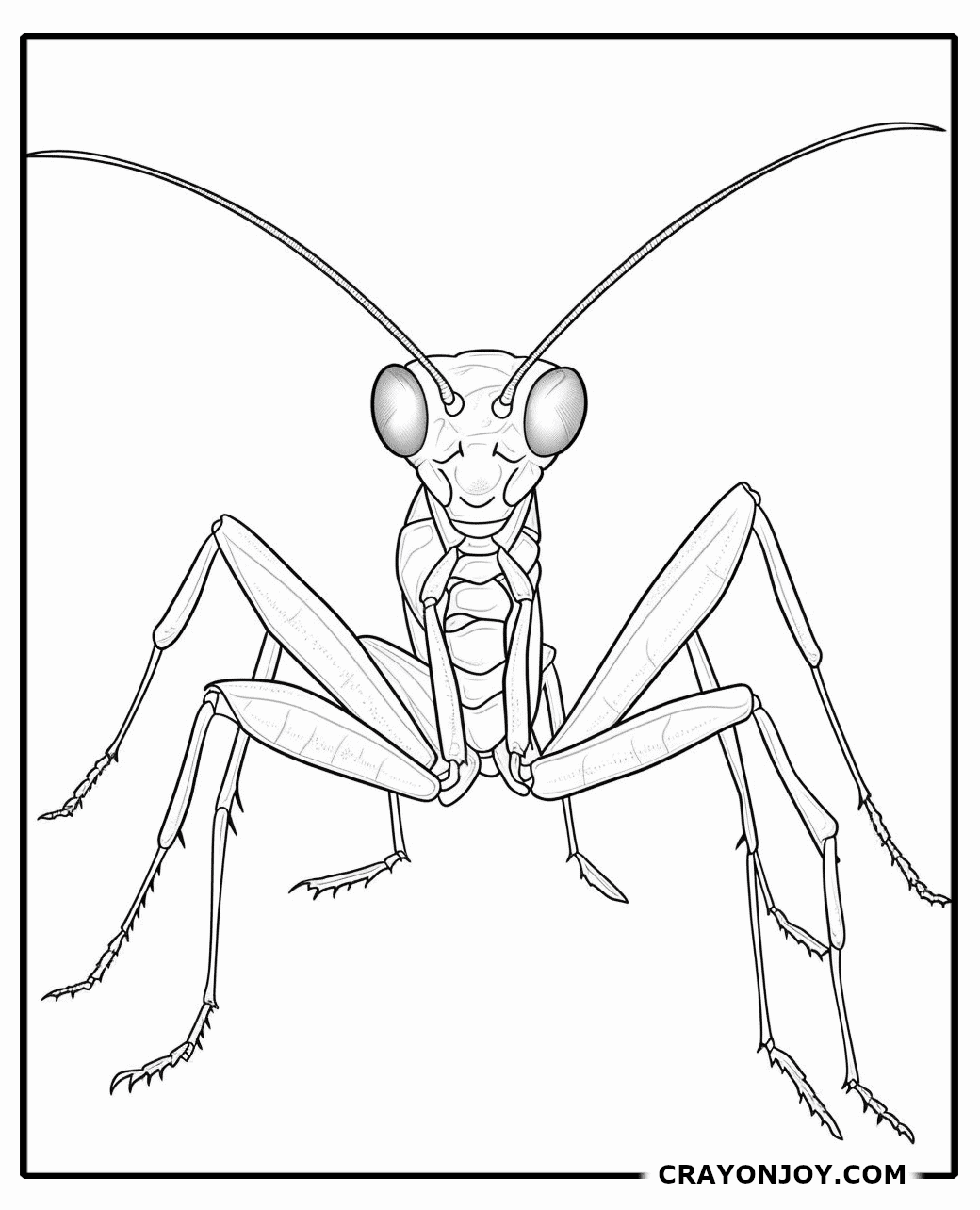 Free Printable Praying-Mantis Coloring Pages for Kids & Adults