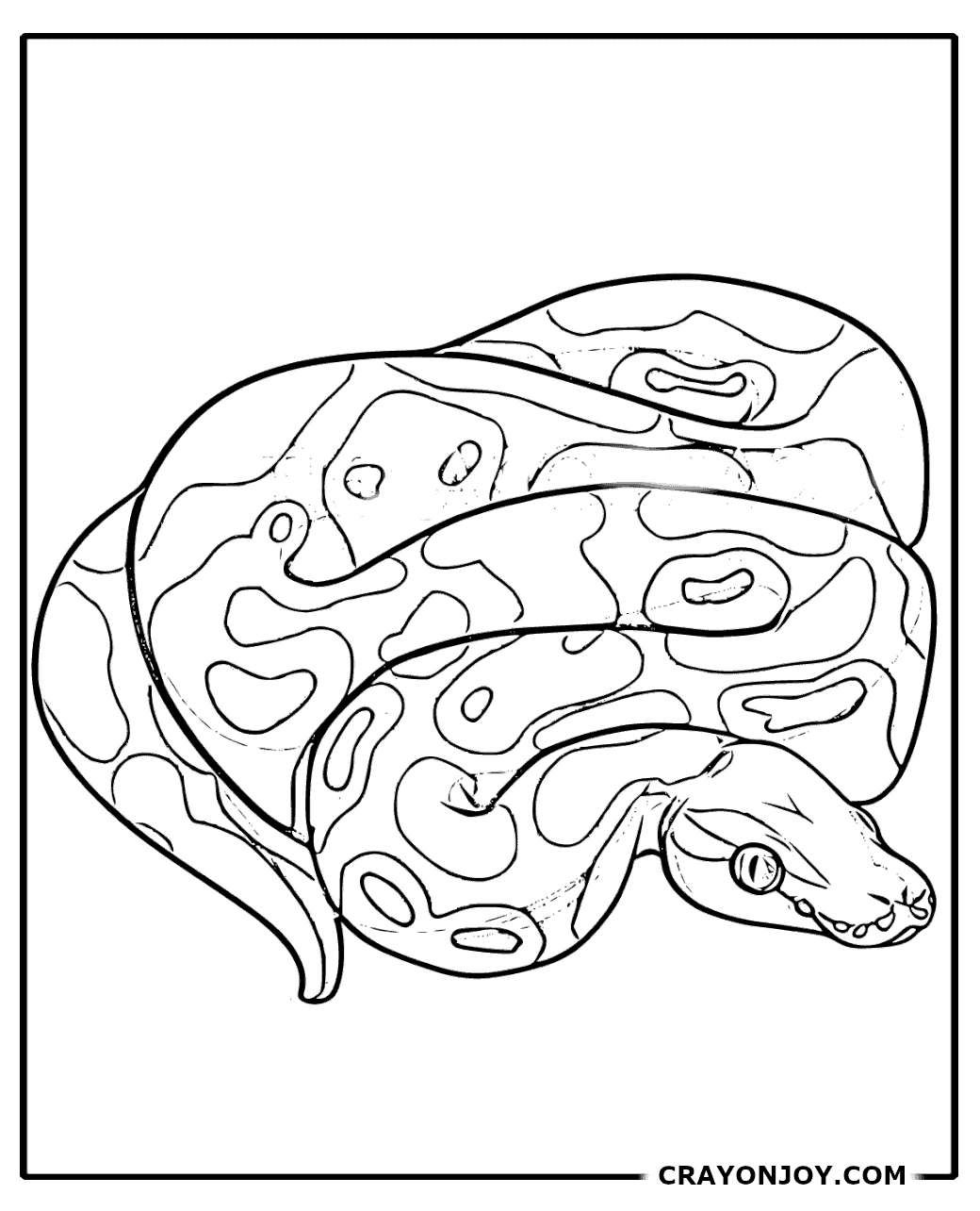 Free Printable Python Coloring Pages