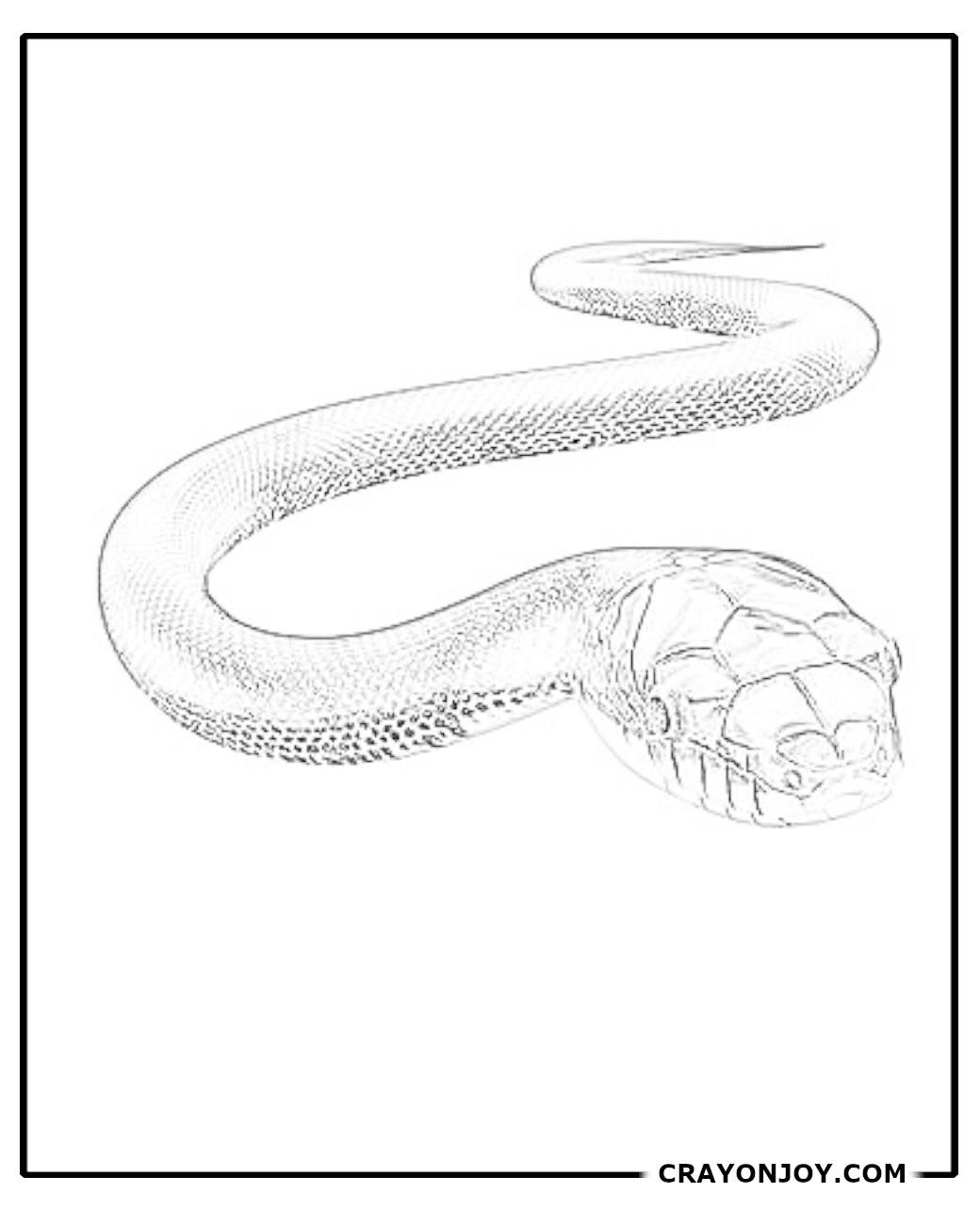Rat Snake Coloring Pages: Free Printable Sheets for Kids and Adults