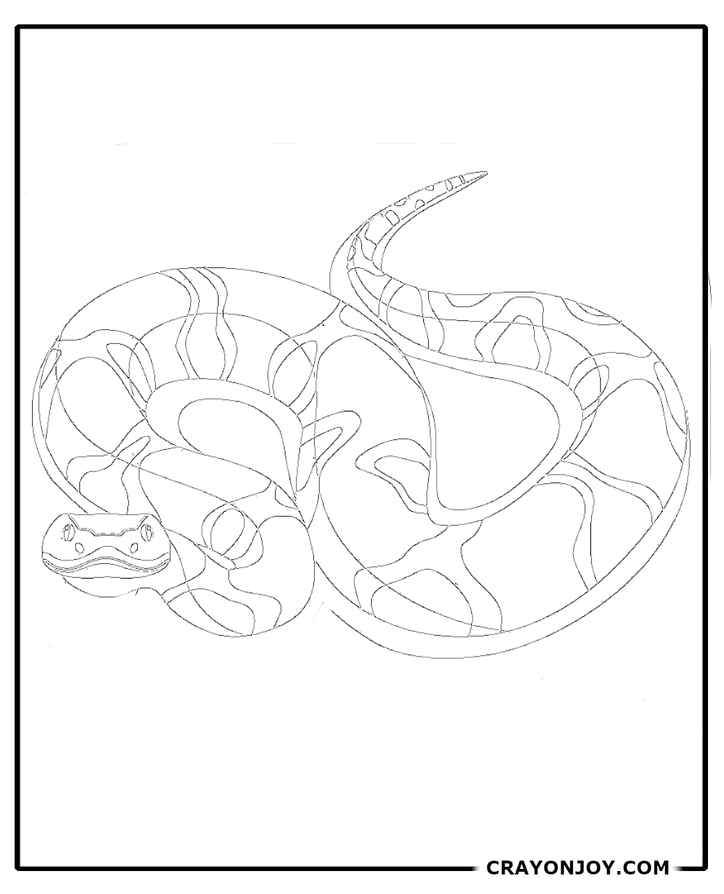 Viper Snake Coloring Pages: Free Printable Sheets for Kids and Adults