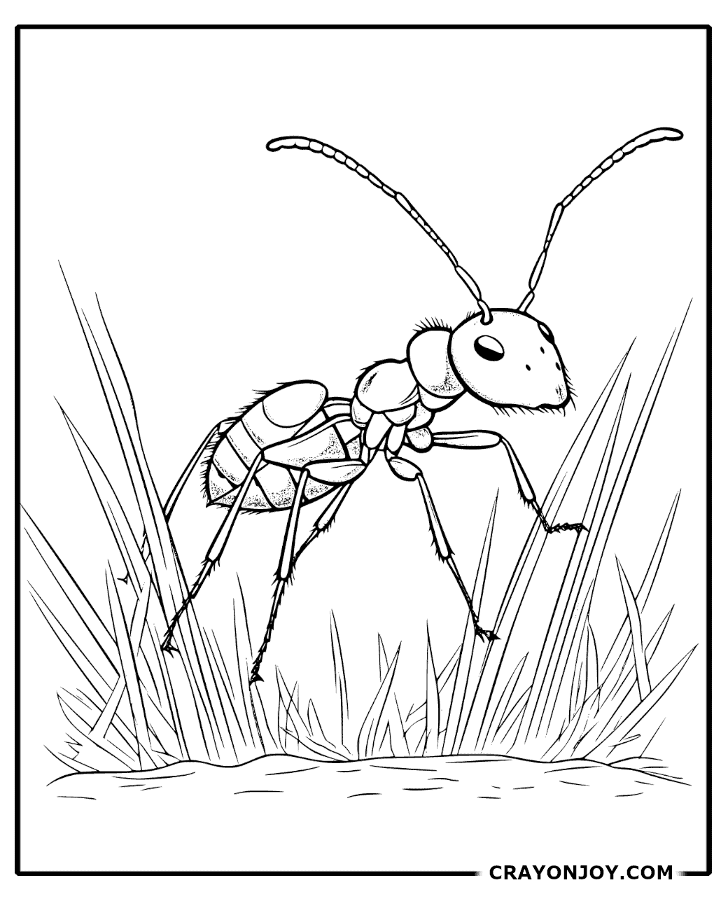 Free Printable Ant Coloring Pages for Kids & Adults