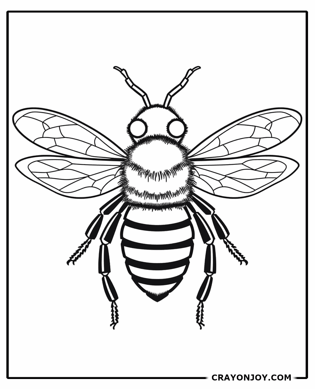 Free Printable Bee Coloring Pages for Kids and Adults