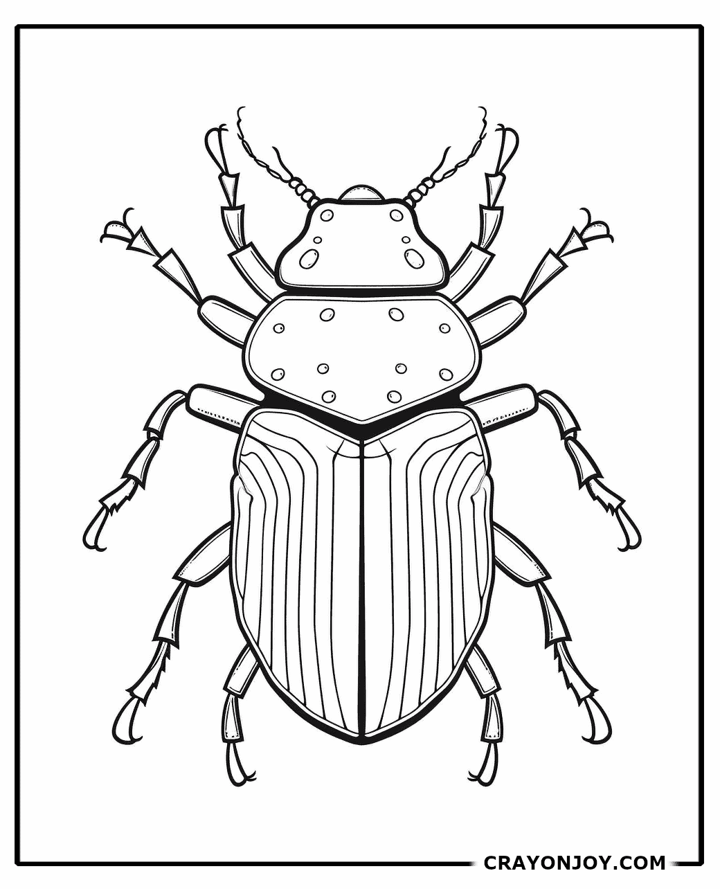 Free Printable Beetle Coloring Pages for Kids & Adults