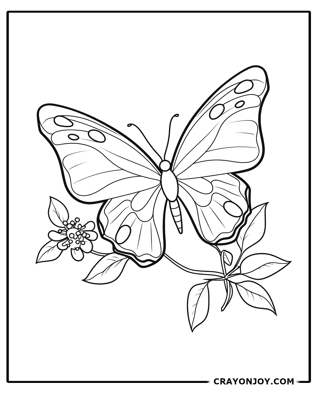 Free Printable Butterfly Coloring Pages for Kids & Adults