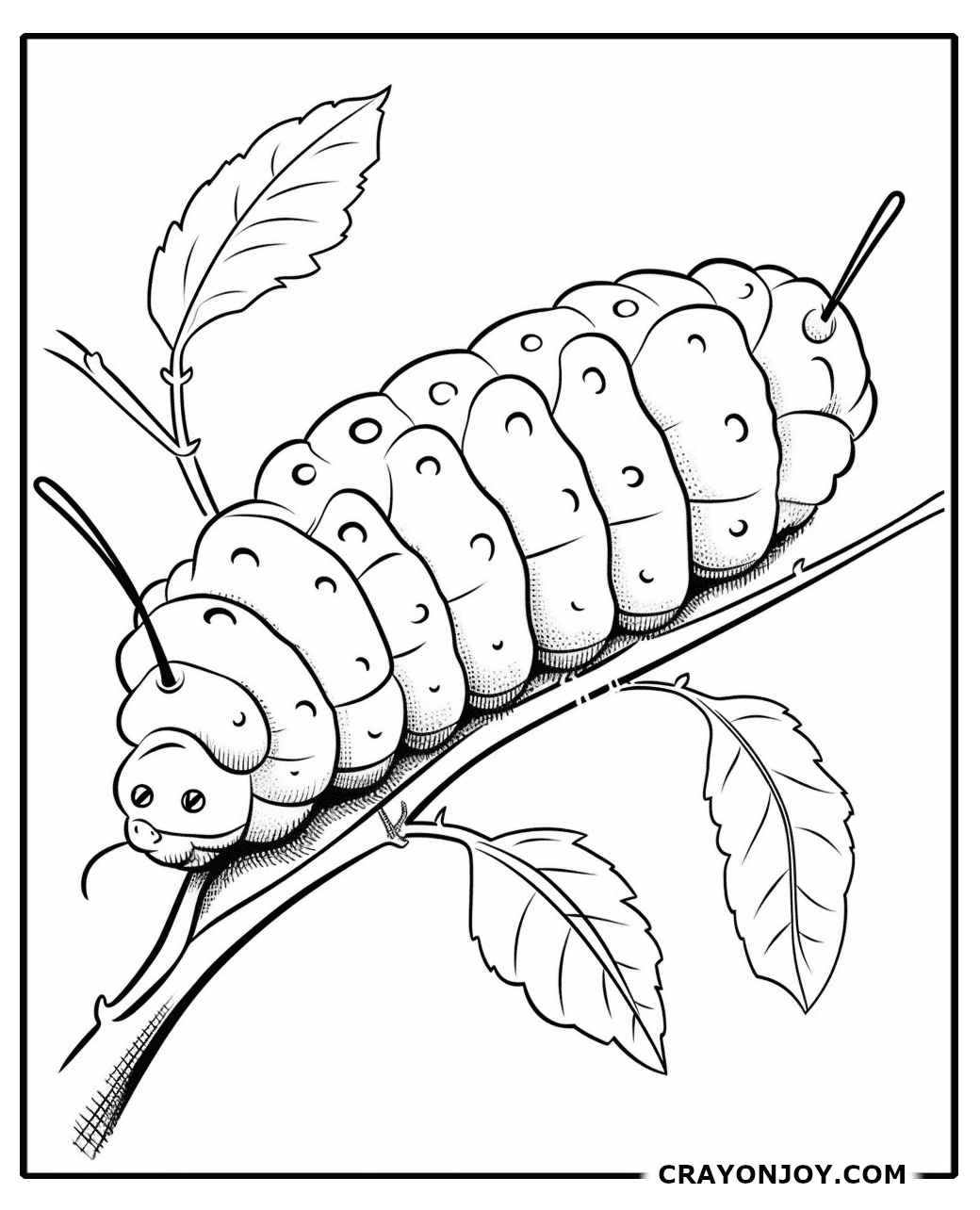 Free Printable Caterpillar Coloring Pages for Kids & Adults