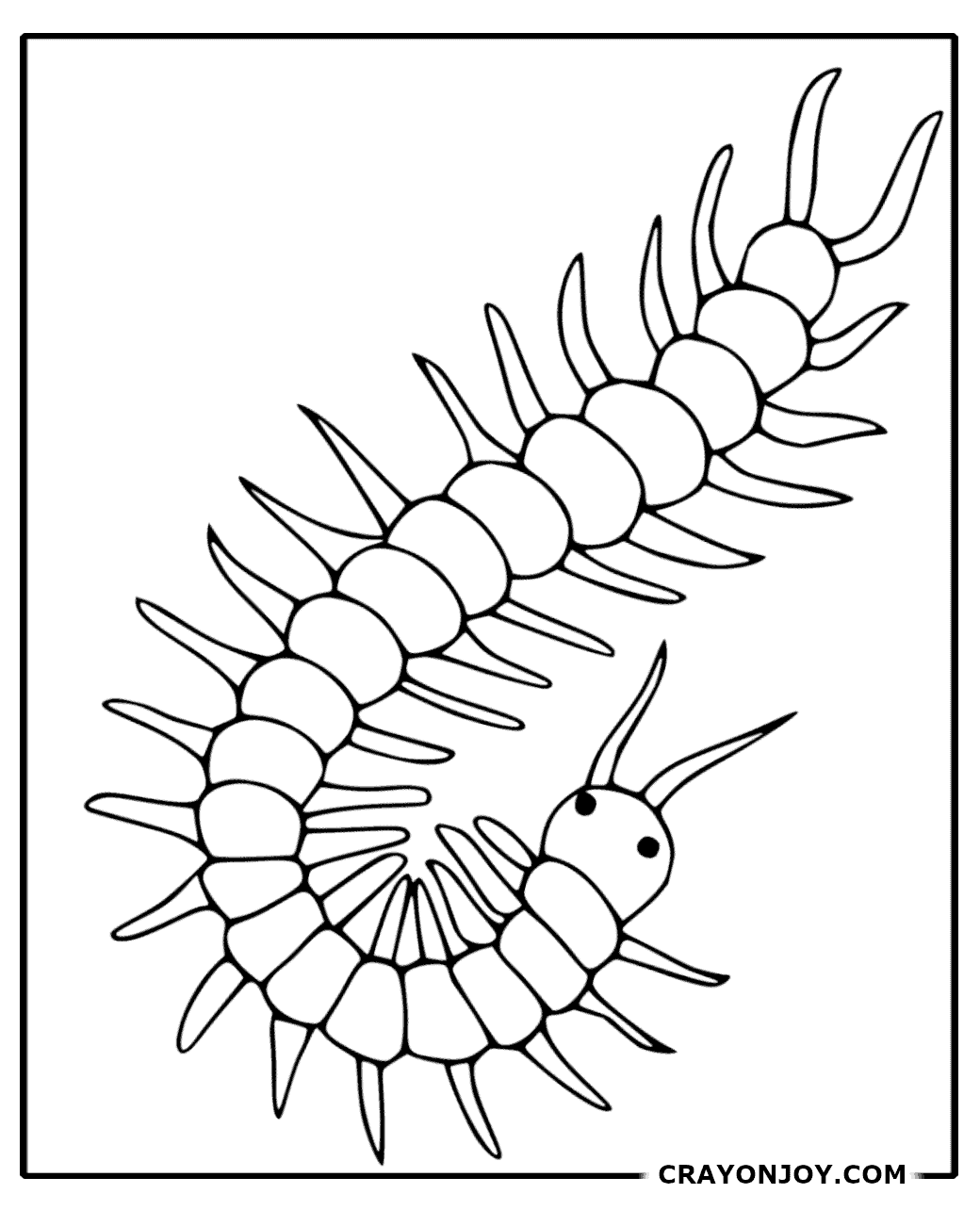 Free Printable Centipede Coloring Pages for Kids & Adults