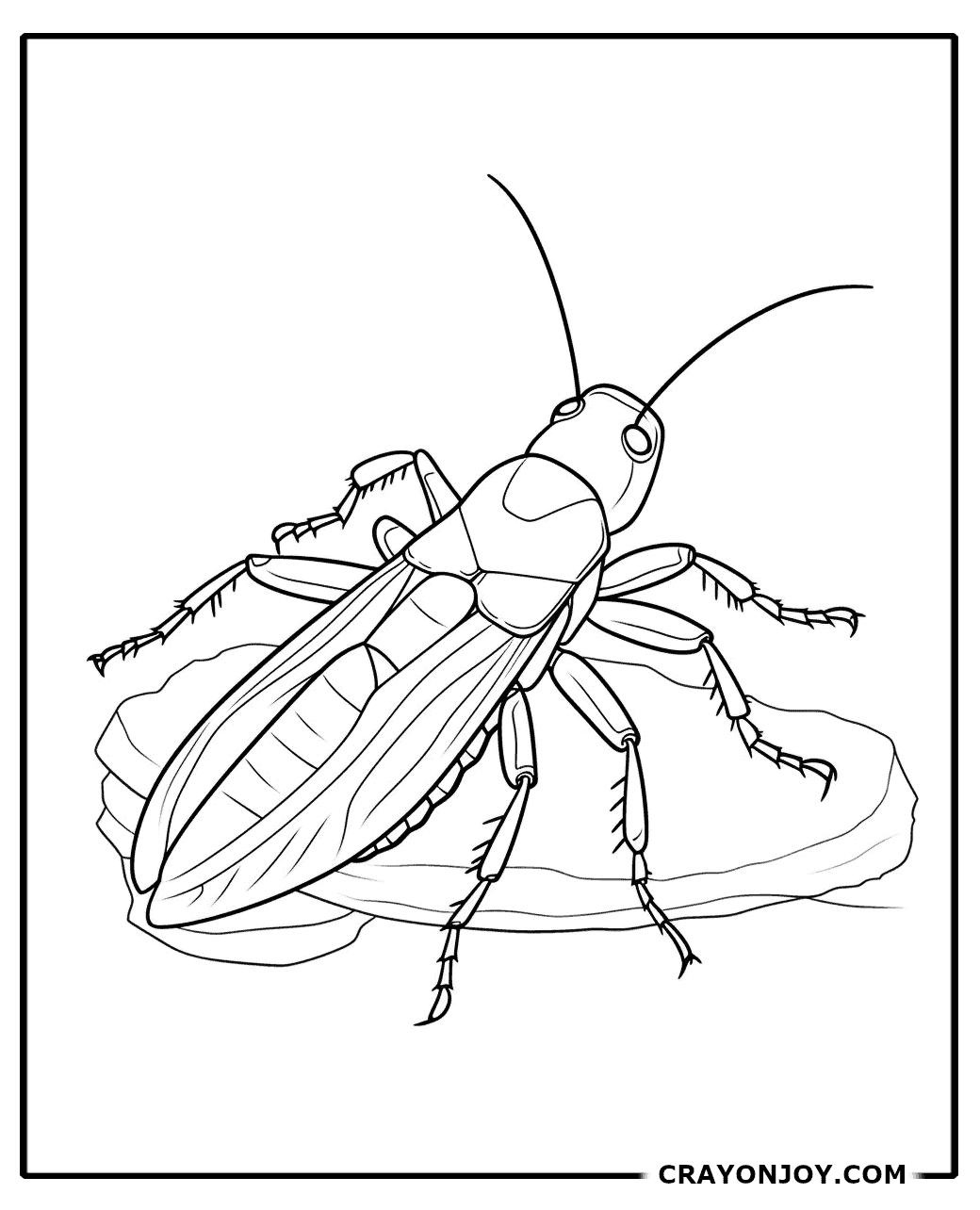 Free Printable Cockroach Coloring Pages for Kids & Adults