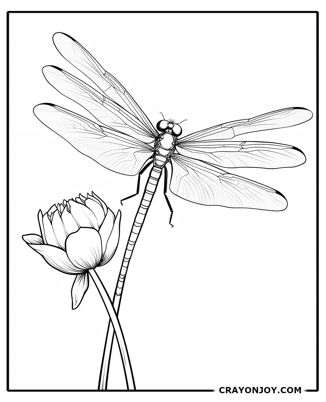 Free Printable Damselfly Coloring Pages for Kids & Adults