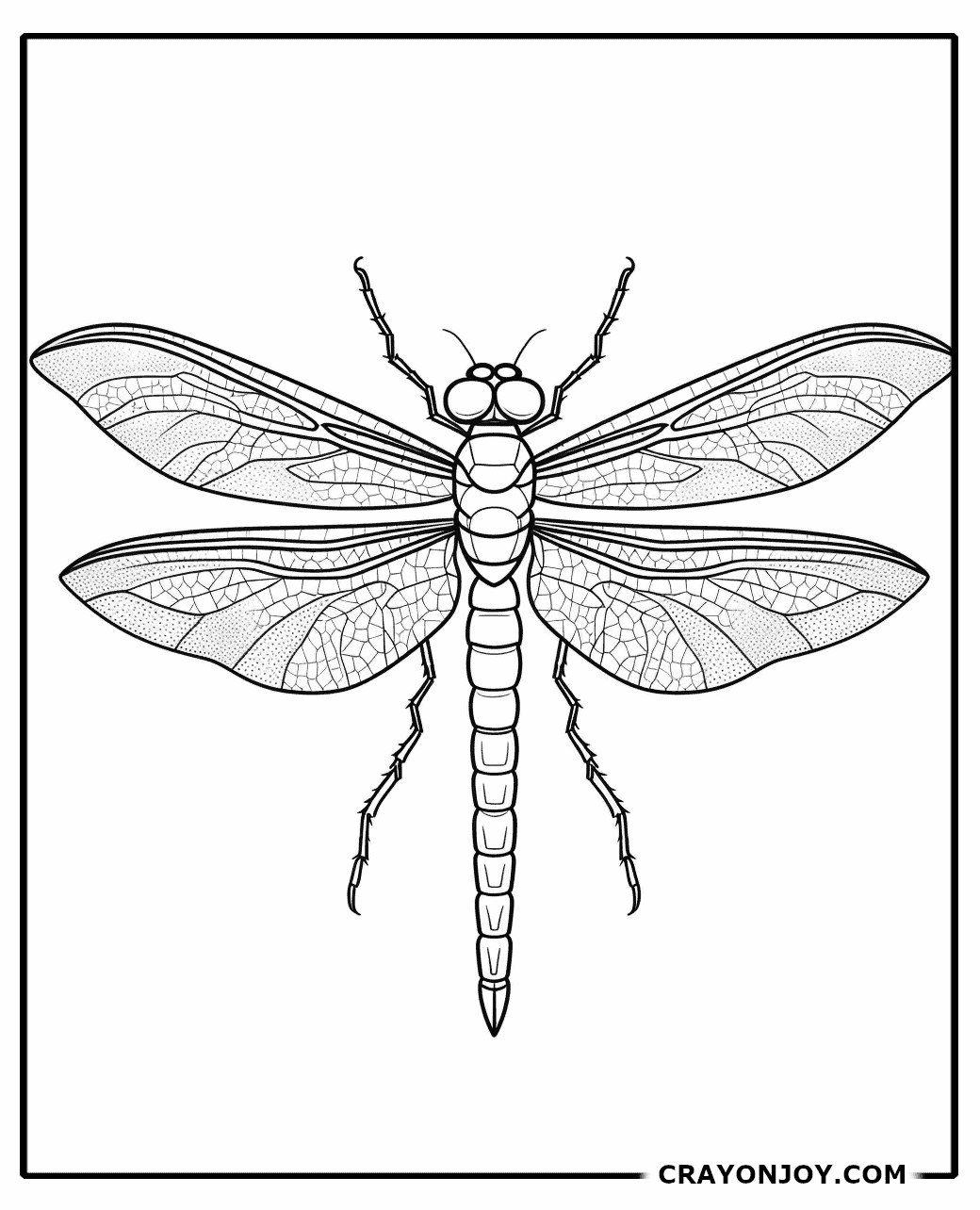Dragonfly Coloring Pages: Free Printable Sheets for Kids and Adults