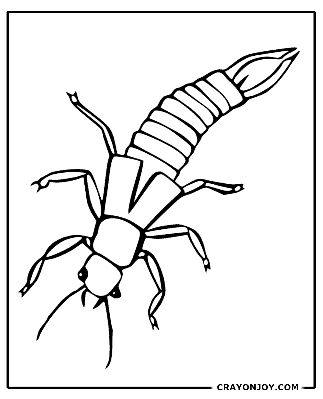 Free Printable Earwig Coloring Pages for Kids & Adults