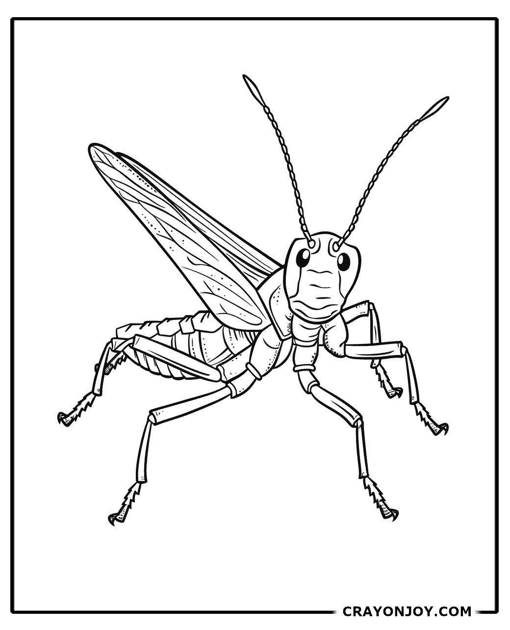 Free Printable Grasshopper Coloring Pages for Kids & Adults