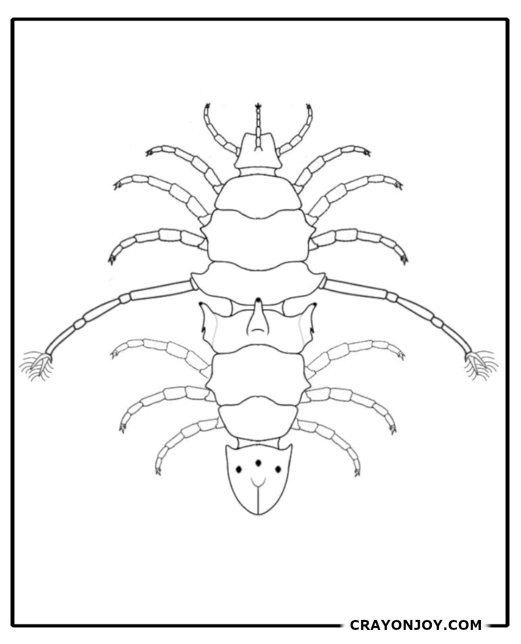 Free Printable Lice Coloring Pages for Kids & Adults