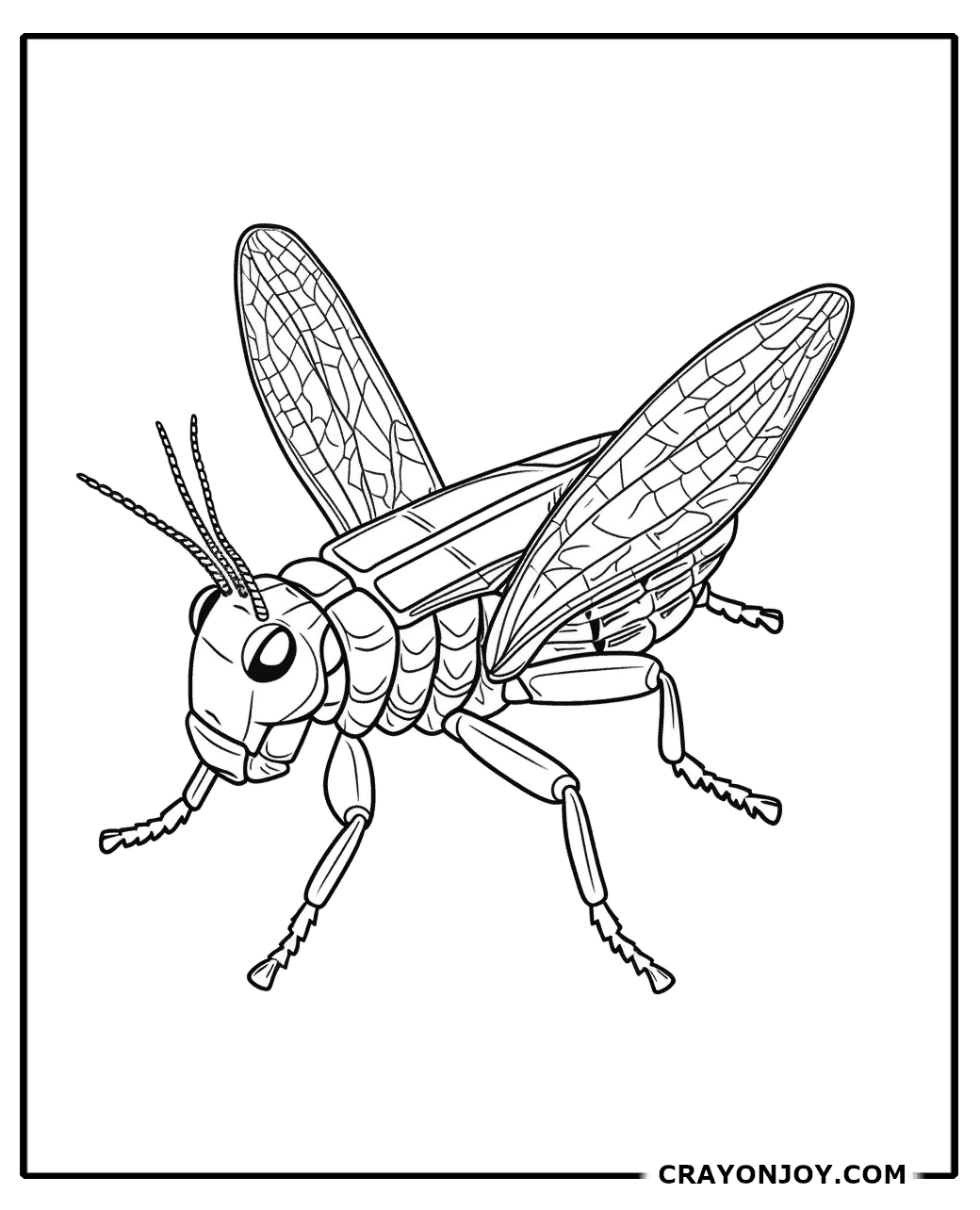 Free Printable Locust Coloring Pages for Kids & Adults