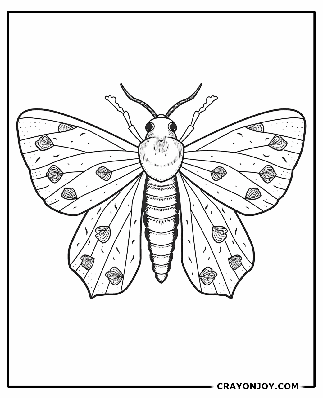 Moth Coloring Pages: Free Printable Collection for Kids and Adults