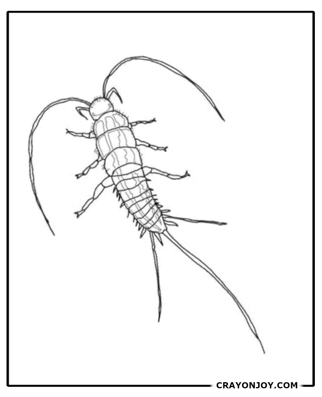 Free Printable Silverfish Coloring Pages for Kids & Adults