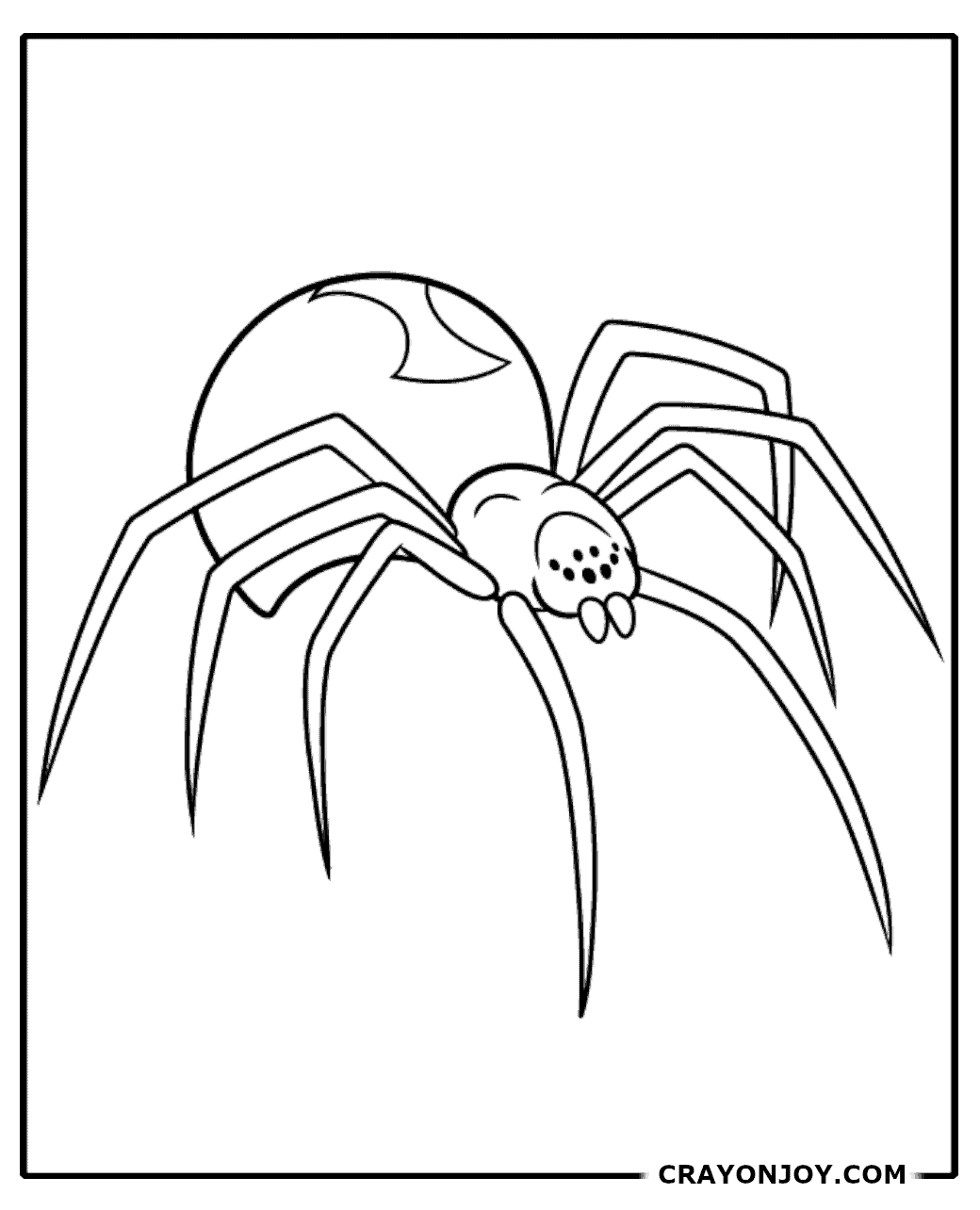 Spider Coloring Pages: Free Printable Sheets for Kids and Adults