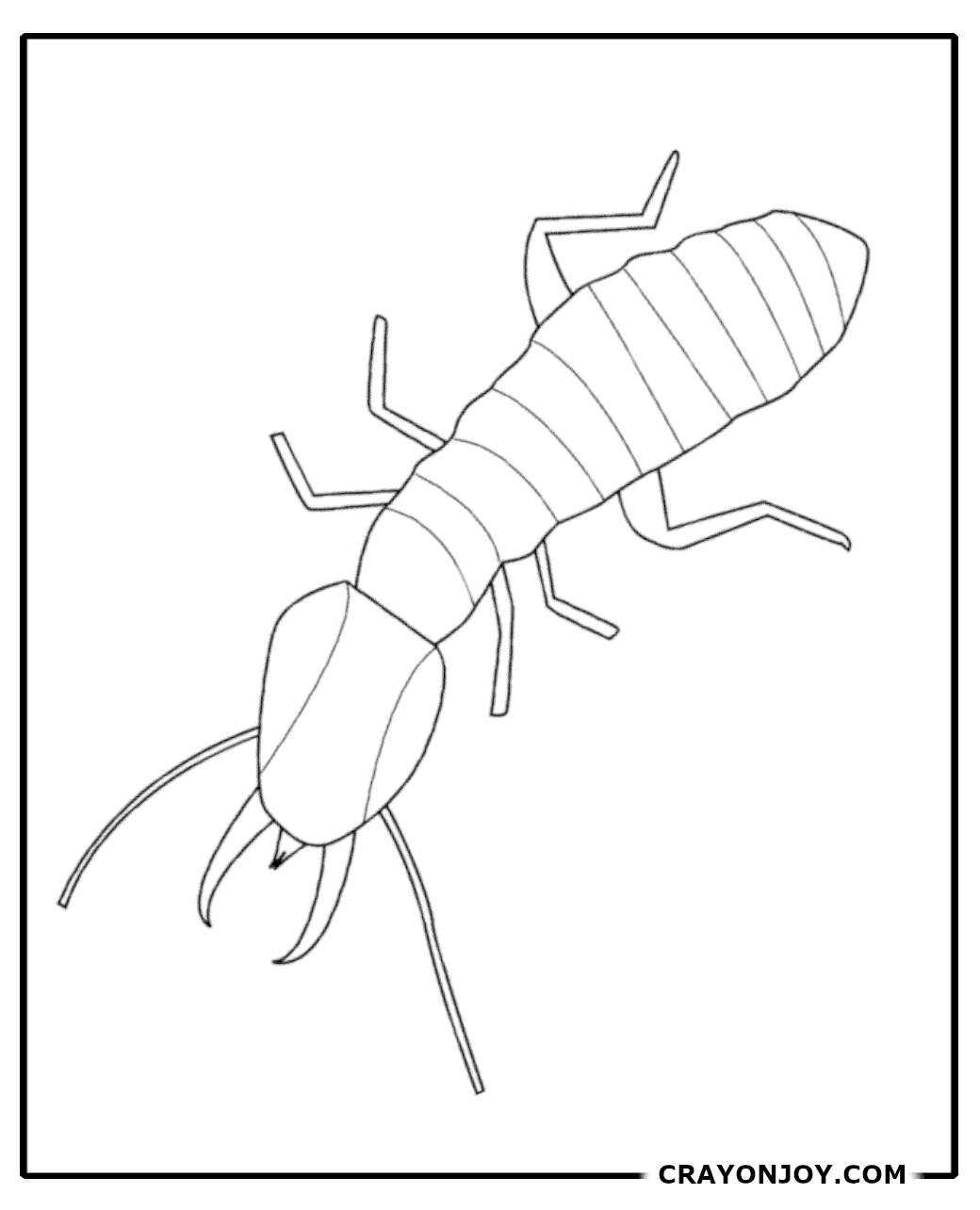 Free Printable Termite Coloring Pages for Kids & Adults