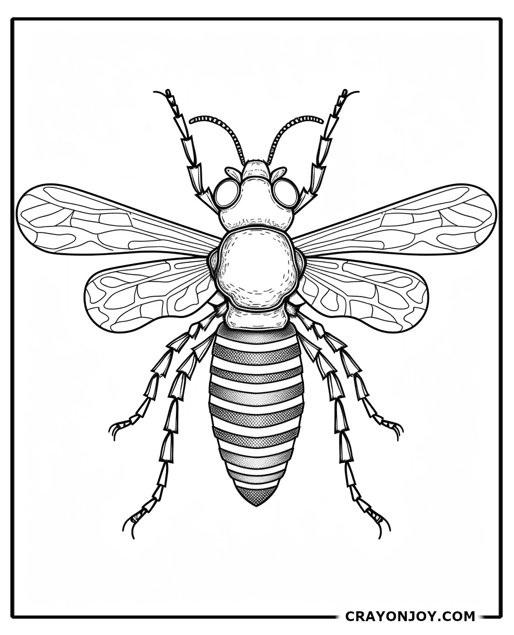 Free Printable Wasp Coloring Pages for Kids & Adults